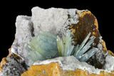 Blue Bladed Barite Crystal Clusters with Calcite - Morocco #138293-3